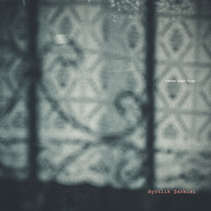 Ayrılık Şarkısı