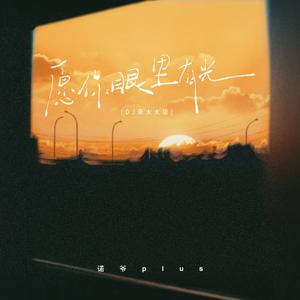 愿你眼里有光 (DJ豪大大版)