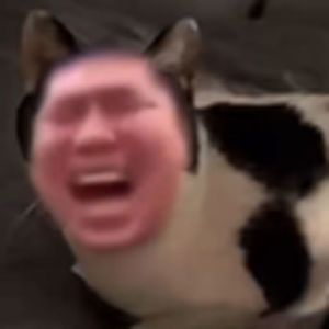 有个简单的问题，什么是徒弟（虎哥）