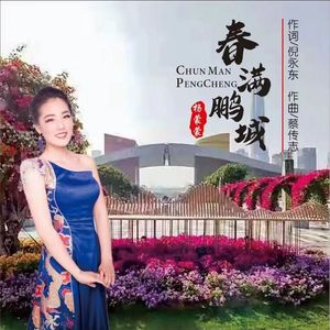 春满鹏城 (伴奏)