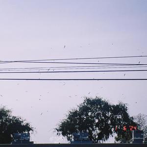 With Love, Your Ghost