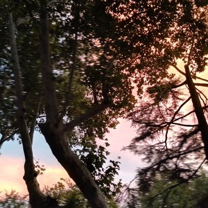 Nujabes-forluv. - Flower_drawwww（花畫 remix）