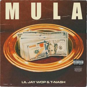Mula (feat. T-Nash)