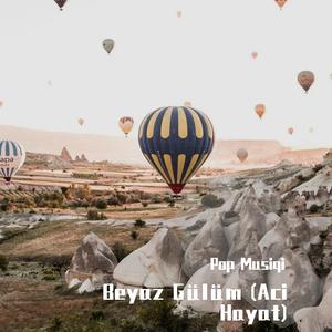 Beyaz Gülüm (Aci Hayat)