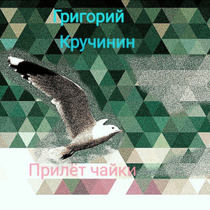 Прилёт чайки