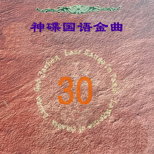 记不住你的容颜