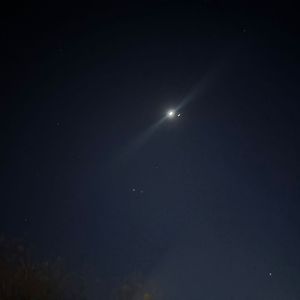 玉珍（前奏demo）