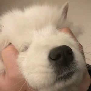热血赴热爱
