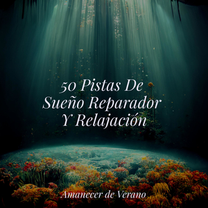 Sueños de dosel del atardecer