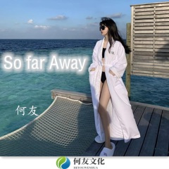 曾经在所有人面前炫耀你 (DJ版)