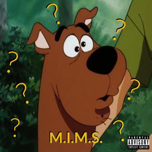 M.I.M.S. (Make It Make Sense)