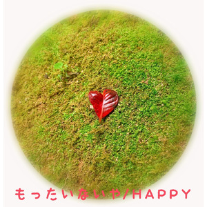 もったいないや