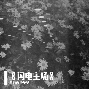 微观宇宙漫游