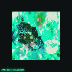 paper skin (feat. Vexxodus)