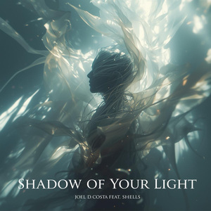 Shadow of Your Light