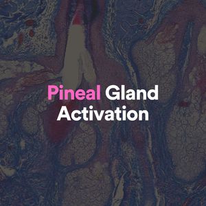 Pineal Gland Activation, Pt. 17