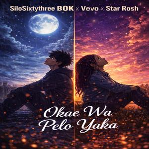 Okae wa pelo yaka (feat. Vevo & Star Rosh)