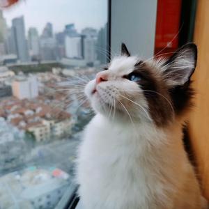 你为什么还不去上班（Demo）