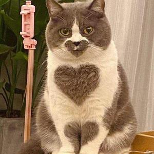 Ecko(Prod by 房间里的大象）