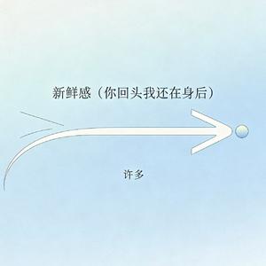 新鲜感(你回头我还在身后)