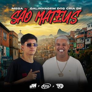 MEGA GALINHAGEM DOS CRIA DE SÃO MATEUS (feat. DJ JH DE SAO MATEUS)
