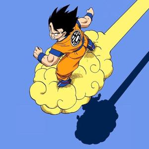 No Fly Zone 2 (feat. savyreallx)