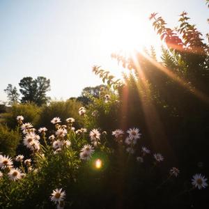 Sonniger Tag