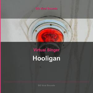 Hooligan