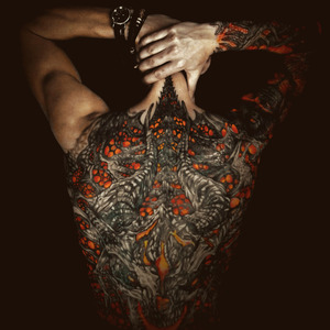 В огонь и воду