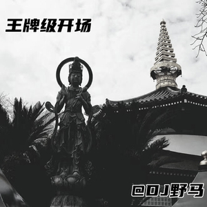 开场秒杀一切电音 (DJ版)