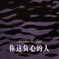 你这负心的人 (Remix)