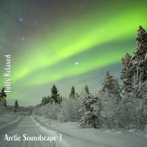 Arctic Soundscape, Pt. 7