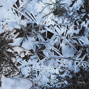 Ouvertüre der Besorgnis (Intro)