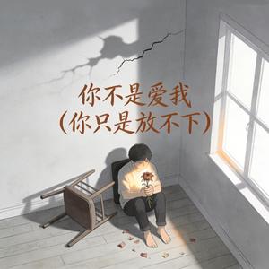 你不是爱我（你只是放不下）