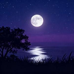 凉夜横塘
