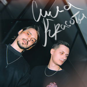 Сила красоты