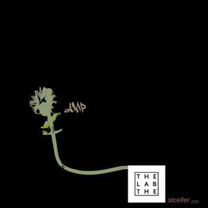 Jasm (Live at the Lab, San Francisco, 2025)