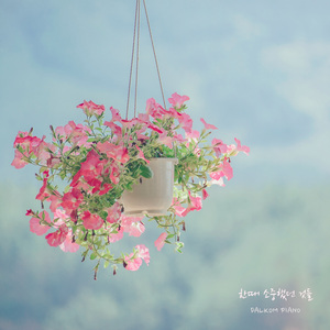 한때 소중했던 것들