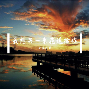 我想买一束花送给你