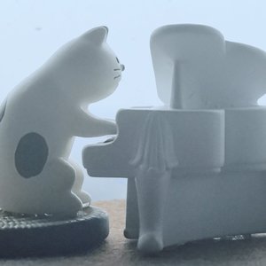 我想和你做的事