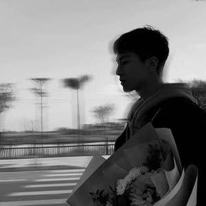 盗墓笔记·十年人间