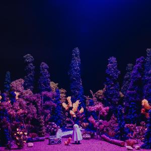 The Revenge of Popular Culture on Those Who Take It Seriously