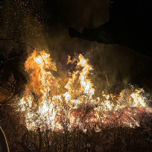 出轨背叛-你没良心（小路生 remix）