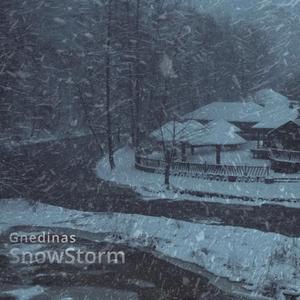 SnowStorm