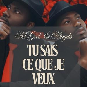 Tu sais ce que je veux (feat. Angelis)