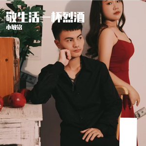 《敬生活一杯烈酒》流行 感悟 爆款 TOP500 DEMOS(3)