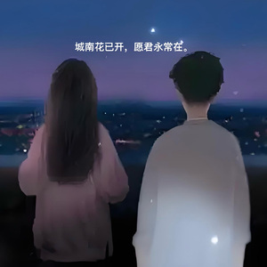 城南花已开（无敌改编版）