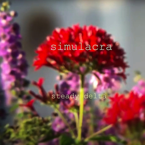 Simulacra