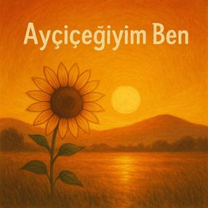 Ayçiçeğiyim ben