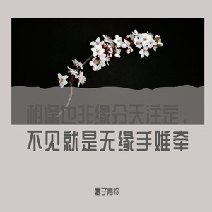 相逢也非缘分天注定，不见就是无缘手难牵（dome）